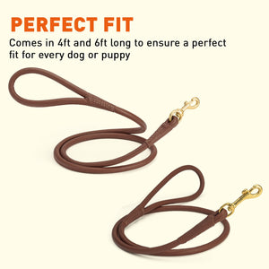Rolled Leather Dog Leash with Brass Snap Hook