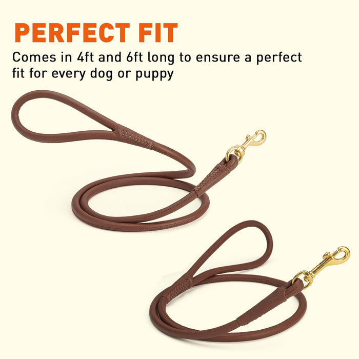 Rolled Leather Dog Leash with Brass Snap Hook