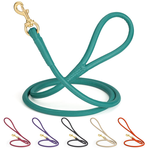 Rolled leather leash with brass snap, teal, pink, purple, black, beige, orange and 5 other color options