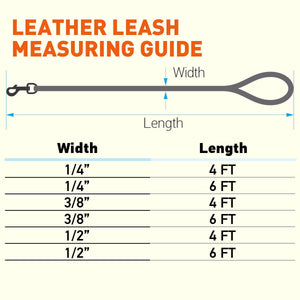 Rolled Leather Dog Leash with Brass Snap Hook