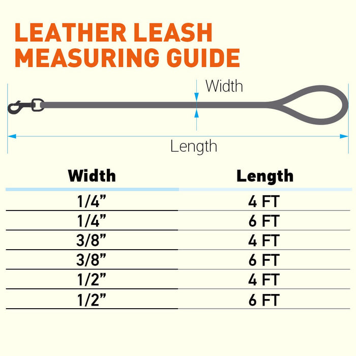 Rolled Leather Dog Leash with Brass Snap Hook