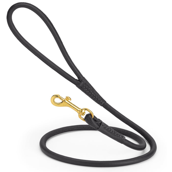 Black rolled leather dog lead with brass clip, 3/8 inch wide
