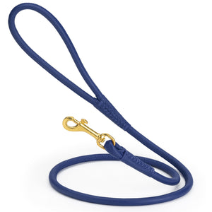 Blue rolled leather dog lead with brass clip, 3/8 inch wide
