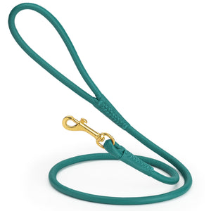 Teal rolled leather dog lead with brass clip, 3/8 inch wide