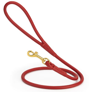 Red rolled leather dog lead with brass clip, 3/8 inch wide