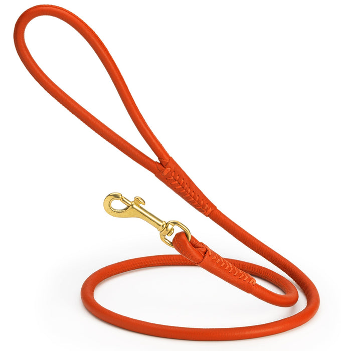 Orange rolled leather dog lead with brass clip, 3/8 inch wide
