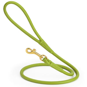 Lime Green rolled leather dog lead with brass clip, 3/8 inch wide
