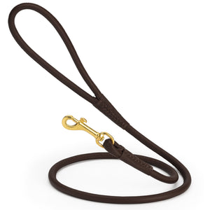 Dark Brown rolled leather dog lead with brass clip, 3/8 inch wide
