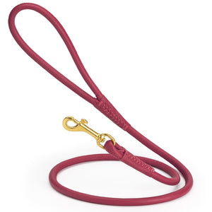 Pink rolled leather dog lead with brass clip, 3/8 inch wide