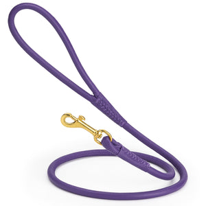 Purple rolled leather dog lead with brass clip, 3/8 inch wide