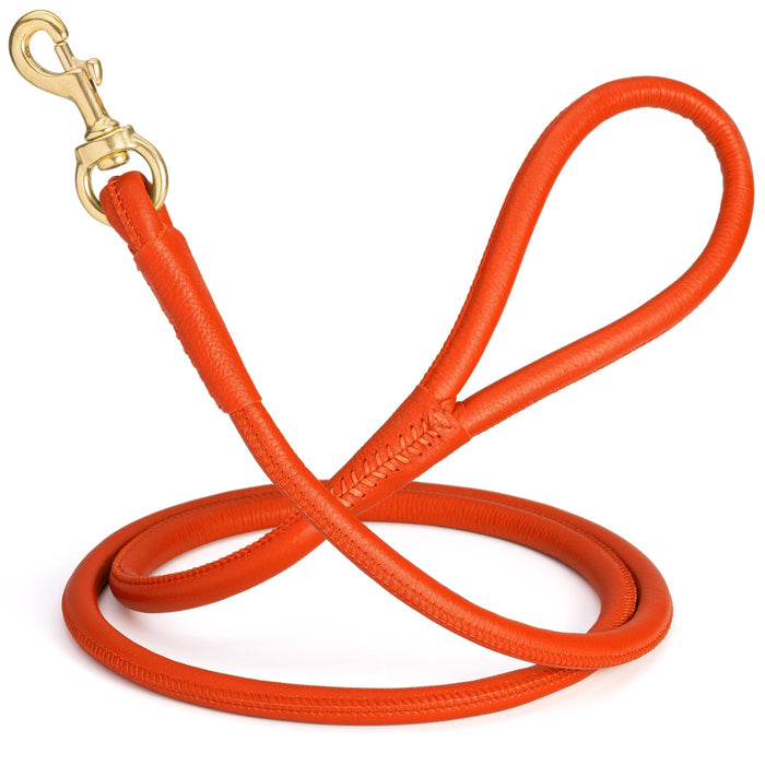 Orange round leather dog leash with brass snap, width 1/2 inch
