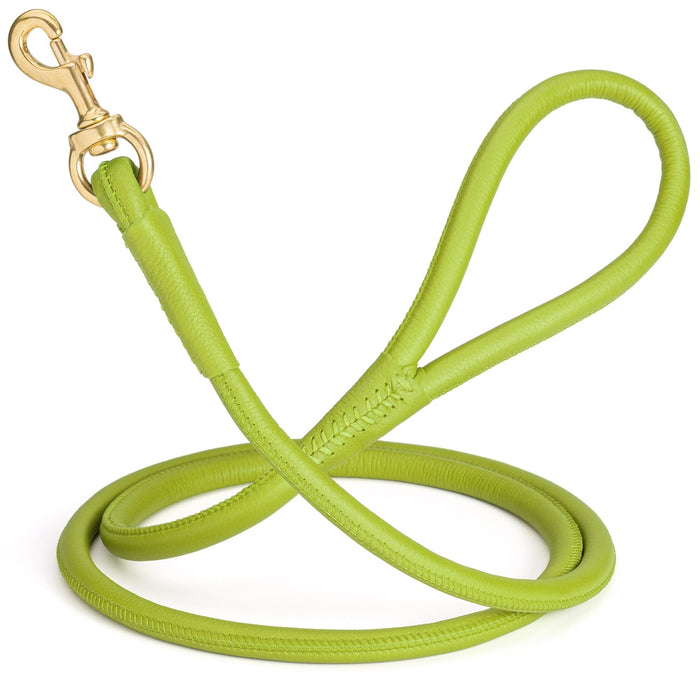 Lime Green round leather dog leash with brass snap, width 1/2 inch
