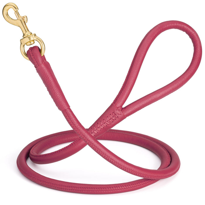 Pink round leather dog leash with brass snap, width 1/2 inch