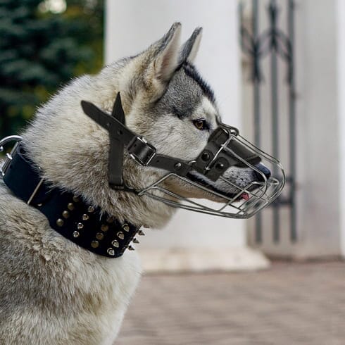 Viper Delta Metal Wire Basket Dog Muzzle