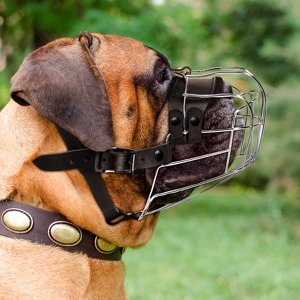 Viper Delta Metal Wire Basket Dog Muzzle