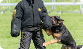 Training Gear