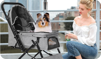 Pet Carriers & Strollers