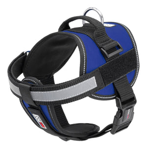 Blue dog harness with adjustable belly straps, top handle, removable reflective chest plate and two patch backing fasteners, made from nylon