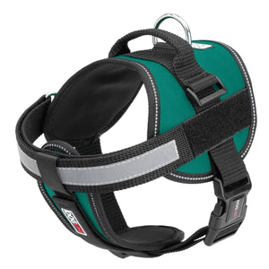 Teal dog harness with adjustable belly straps, top handle, removable reflective chest plate and two patch backing fasteners, made from nylon