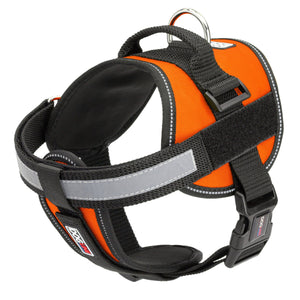 Orange dog harness with adjustable belly straps, top handle, removable reflective chest plate and two patch backing fasteners, made from nylon