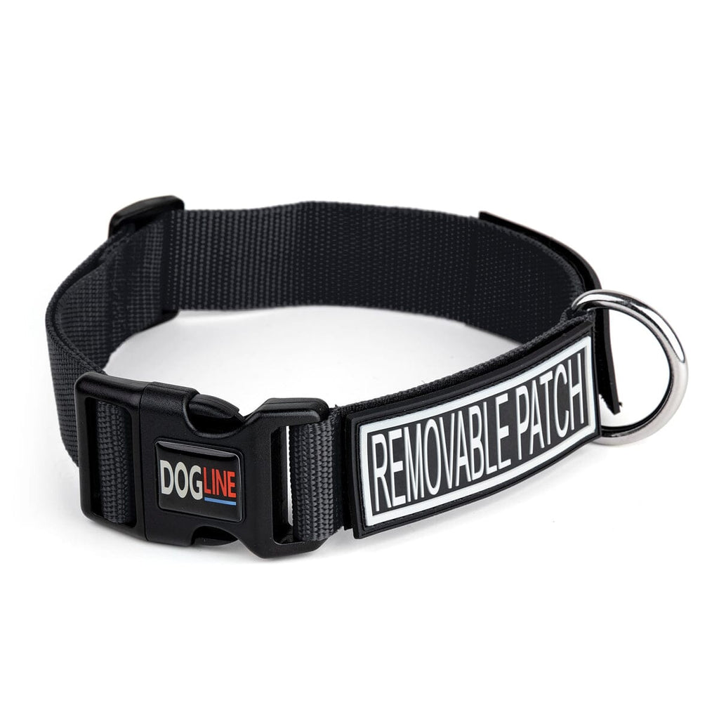 Omega Nylon Flat Collar + Built Hook & Loop Fastener