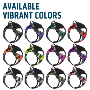 Dogline Quest Multi-Purpose No Pull Dog Harness