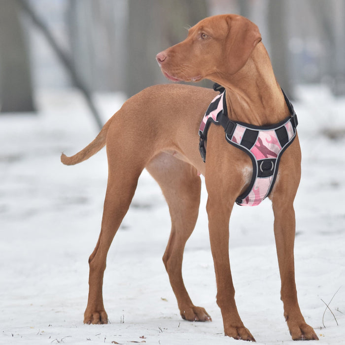 Dogline Quest Multi-Purpose No Pull Dog Harness