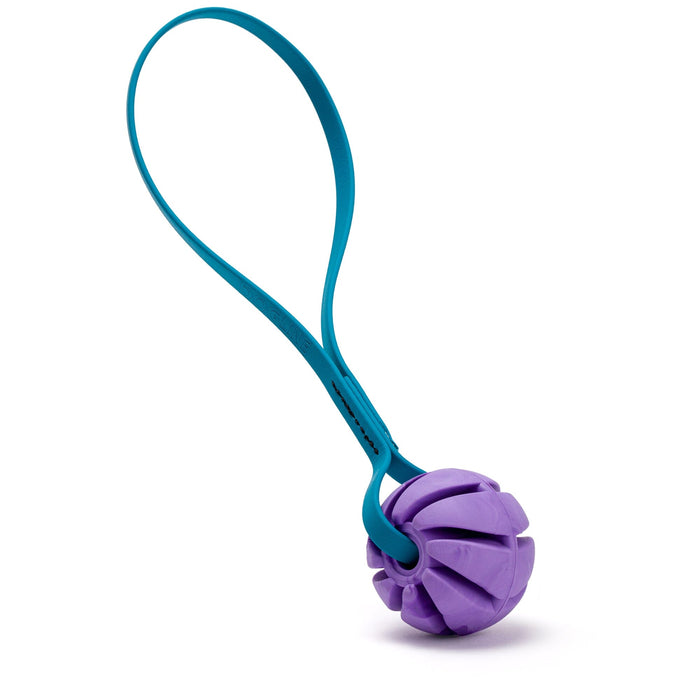 Rubber Spiral Ball with Biothane Handle