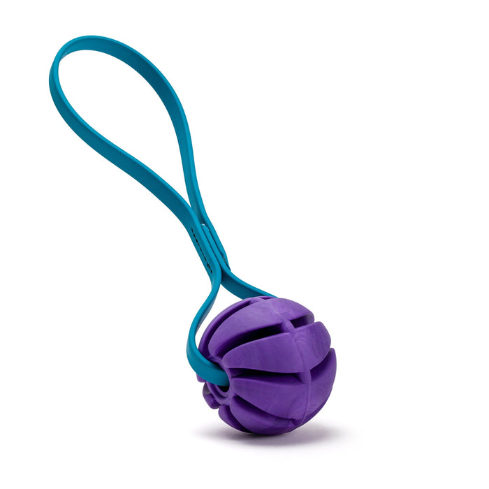 Rubber Spiral Ball with Biothane Handle