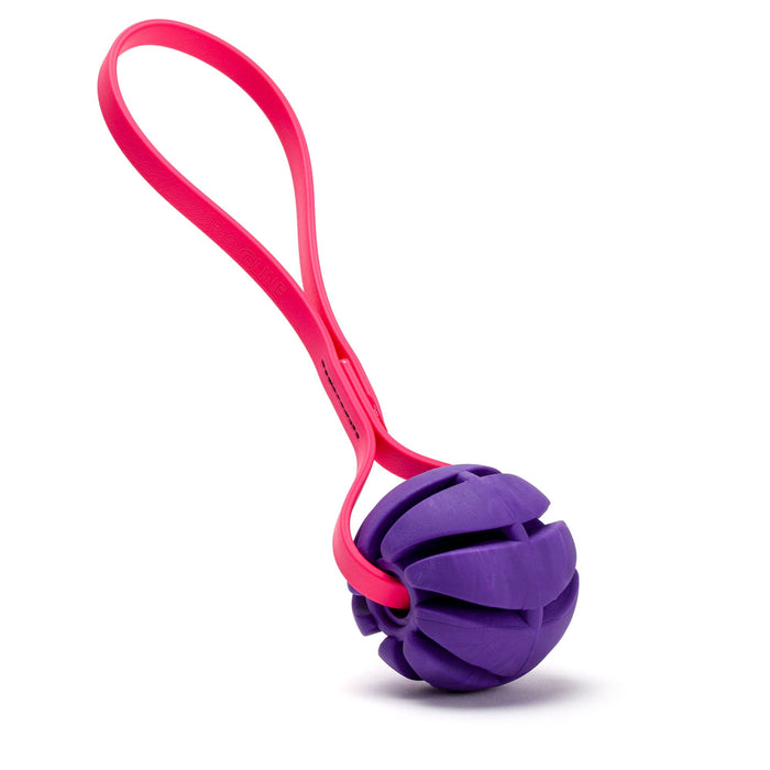 Rubber Spiral Ball with Biothane Handle