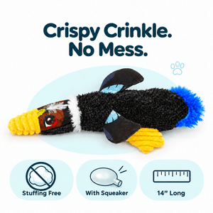 Crinkle Birds Dog Toy Collection