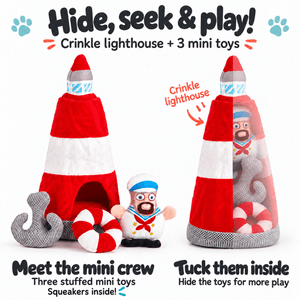 Interactive Toy Collection with a Surprise Inside