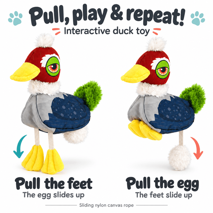 Interactive Toy Collection with a Surprise Inside
