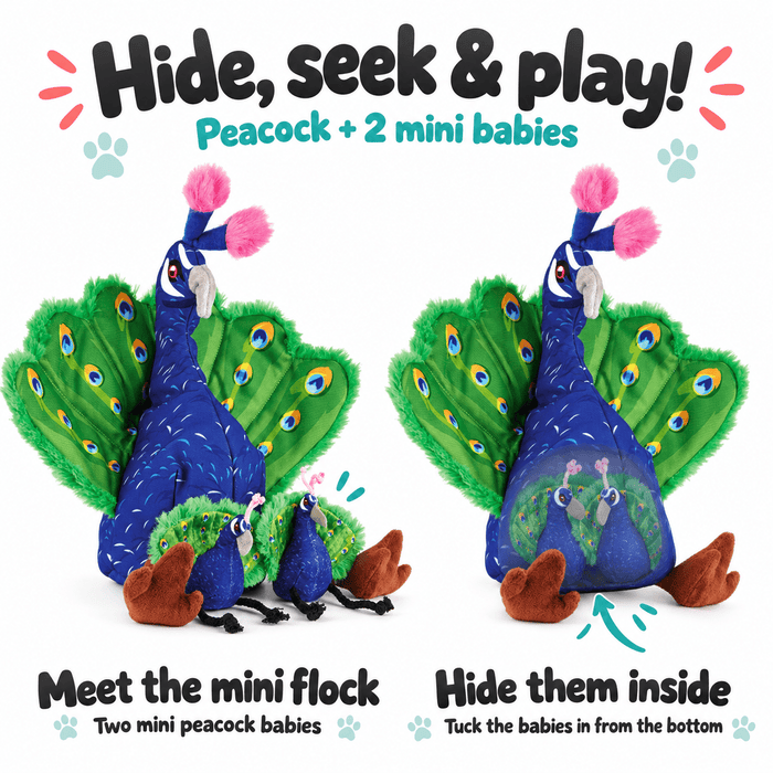 Interactive Toy Collection with a Surprise Inside