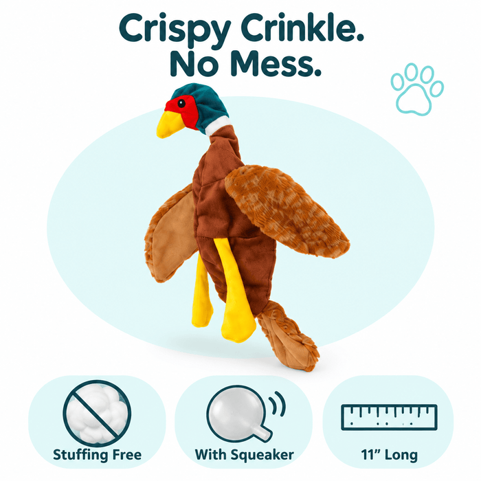 11" Chicken Crinkle Dog Toy