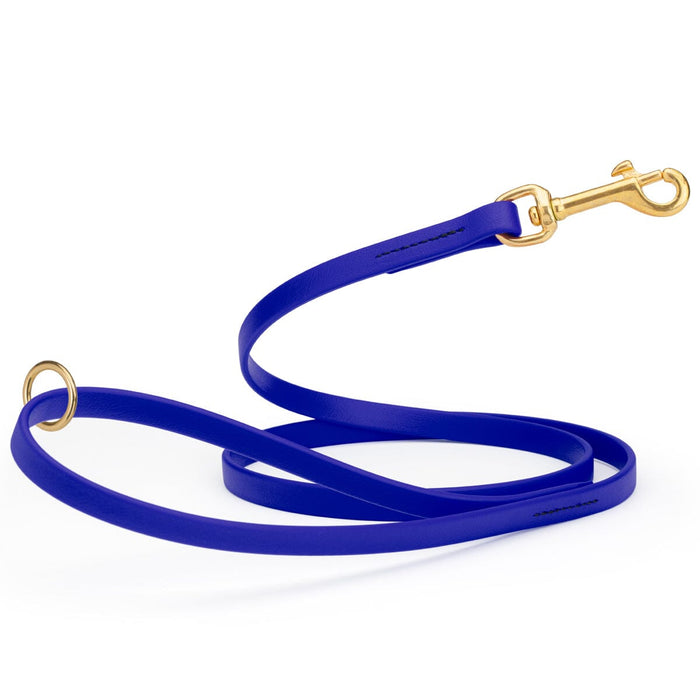 Blueberry dog leash made from waterproof Biothane, brass hardware, 1/2 inch wide 