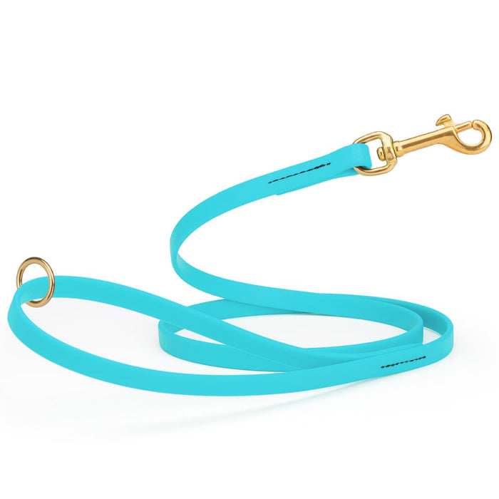 Sky Blue dog leash made from waterproof Biothane, brass hardware, 1/2 inch wide  