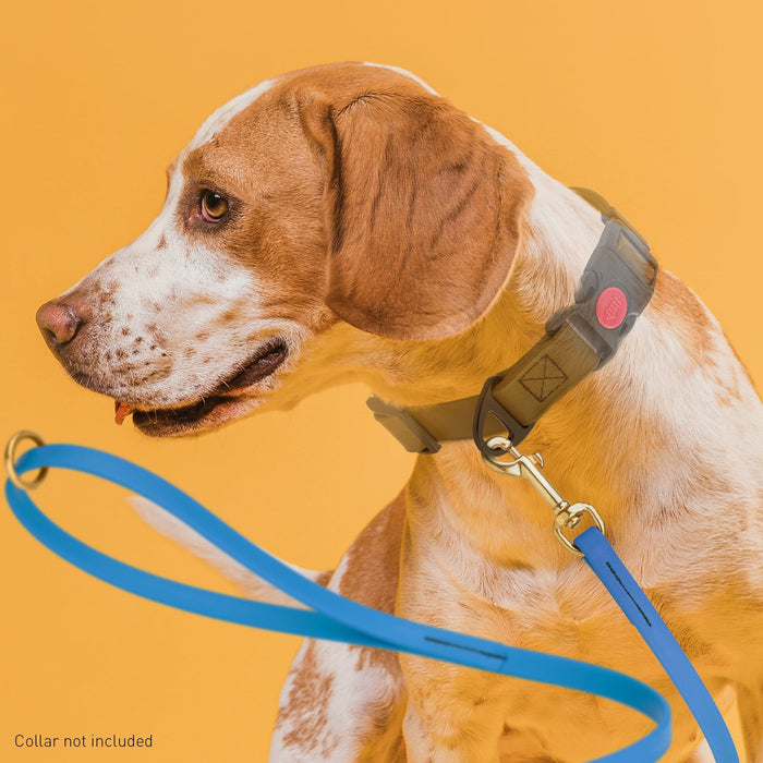 Viper Biothane Working Lead