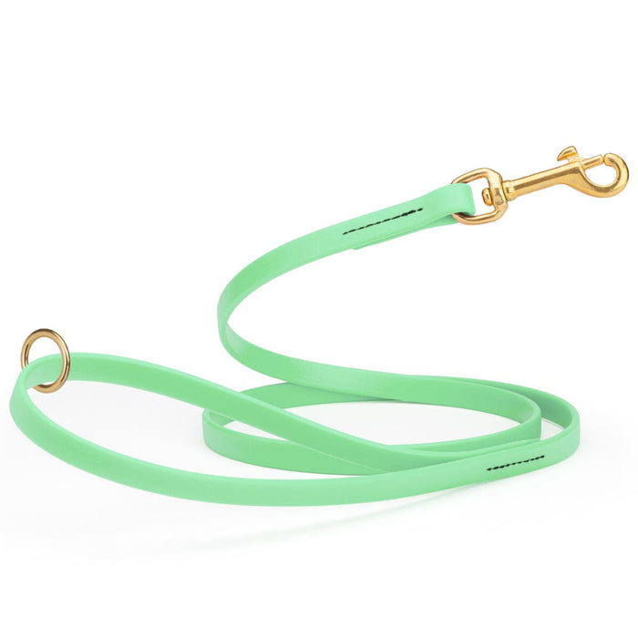 Seafoam Green dog leash made from waterproof Biothane, brass hardware, 1/2 inch wide 