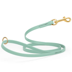 Sage Green dog leash made from waterproof Biothane, brass hardware, 1/2 inch wide 