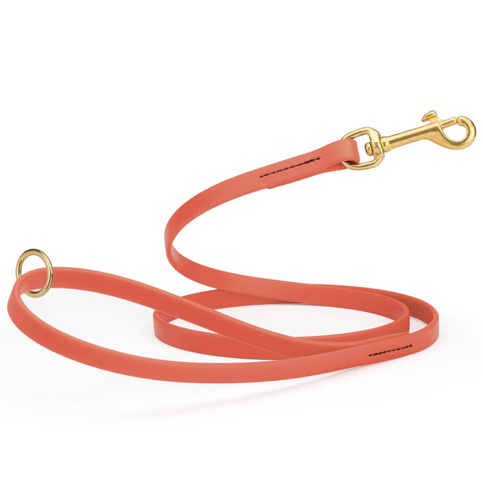 Coral dog leash made from waterproof Biothane, brass hardware, 1/2 inch wide 