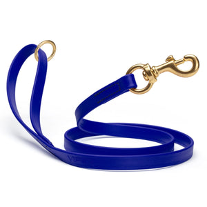 Waterproof Blueberry dog leash with brass hardware, 5/8 or 3/4 inch wide, made from Biothane