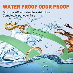 Viper Biothane Working Lead 6 ft