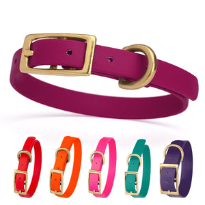 Biothane collar for dogs with brass hardware. Magenta, red, orange, pink, blue, purple, and 20 other colors available