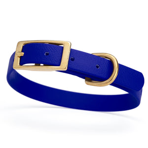 Blueberry dog collar for small dogs with brass hardware, 5/8 inch wide, adjustable, made from Biothane 