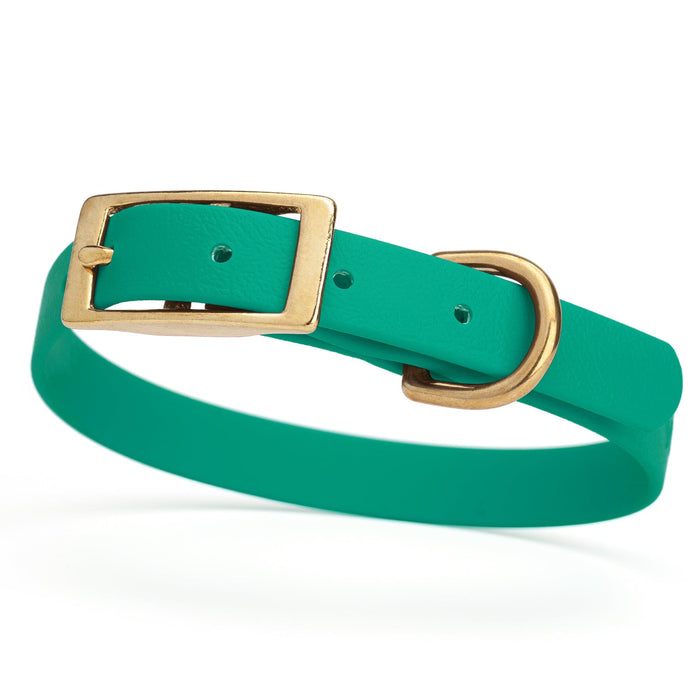 Teal dog collar for small dogs with brass hardware, 5/8 inch wide, adjustable, made from Biothane 