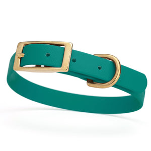 Blue Aqua dog collar for small dogs with brass hardware, 5/8 inch wide, adjustable, made from Biothane 