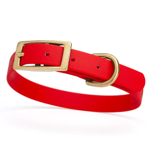 Cherry Red dog collar for small dogs with brass hardware, 5/8 inch wide, adjustable, made from Biothane 