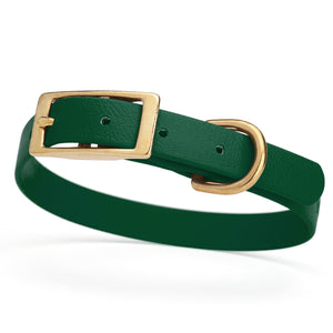 Hunter Green dog collar for small dogs with brass hardware, 5/8 inch wide, adjustable, made from Biothane 