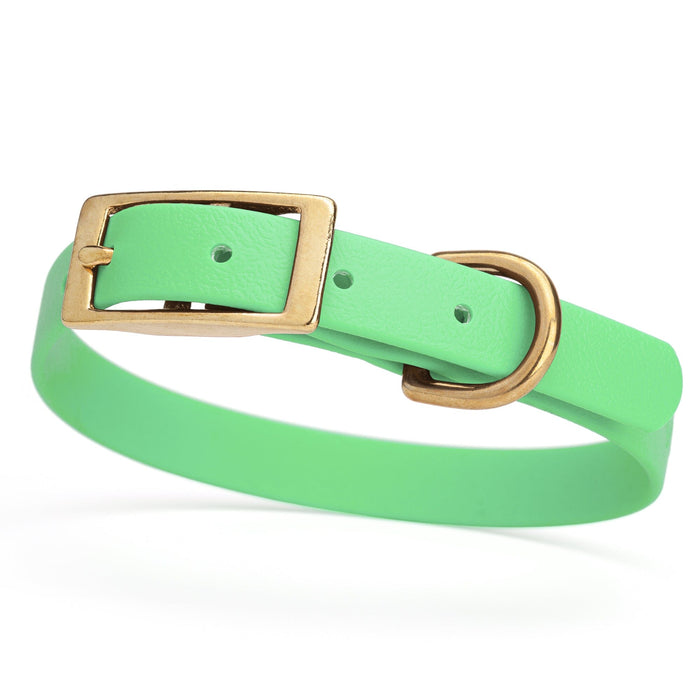 Seafoam Green dog collar for small dogs with brass hardware, 5/8 inch wide, adjustable, made from Biothane 
